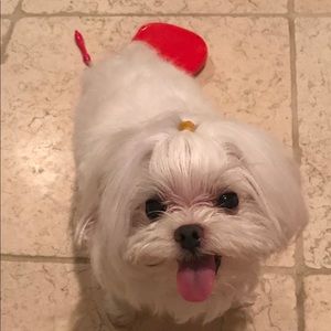 Meet your Posher, Michele